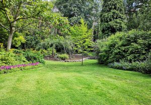 Optimiser l'expérience du jardin à Saint-Laurent-la-Roche